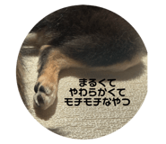 772076171