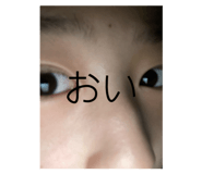 772081544
