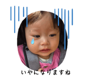 772082316
