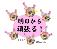 772082367