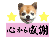 772082370
