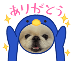 772086261