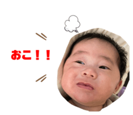 772088976