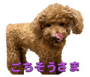 772094096