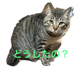 772100803