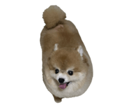 772121790