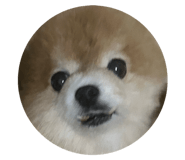 772121794