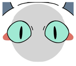 772135653