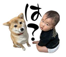 772137993
