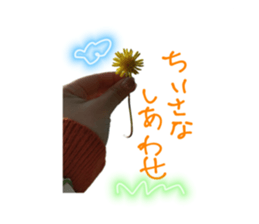 772162540