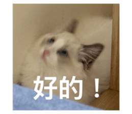 772163278