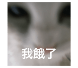 772163280