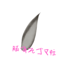 772164520