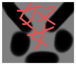 772165795