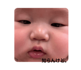 772194893