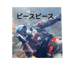 772196127