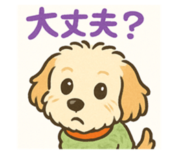 772202735