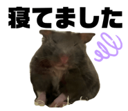 772205864