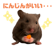 772205874