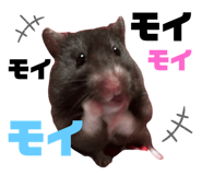772205879