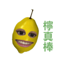 772213179