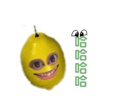 772213182