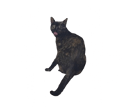 772213269