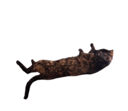 772213272