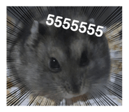 772217291
