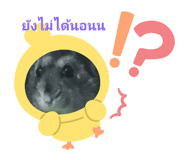 772217294