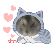 772217296