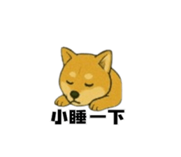772218044