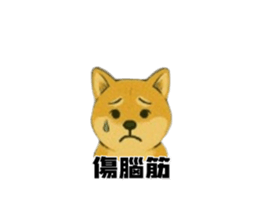 772218053
