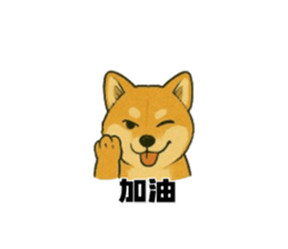 772218055
