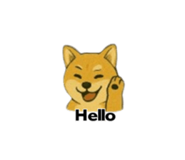 772218059