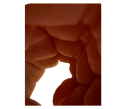 772218199