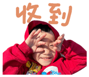 772221446