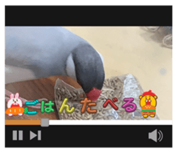 772227265