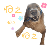 772228001