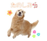 772228022