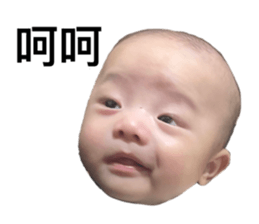 772228962