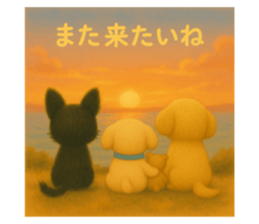 772231167