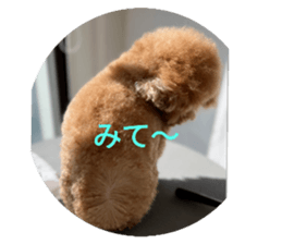 772236881