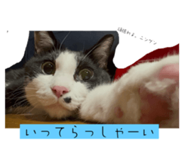 772240766