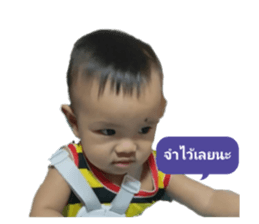 772246018