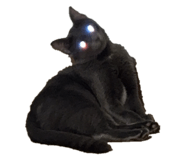 772251965