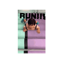 772263247