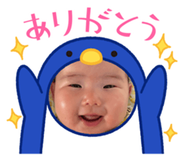 772265332