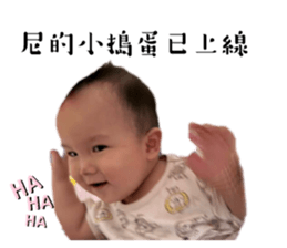 772269060