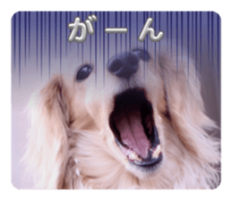 772269890